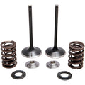Honda Valve and Spring Kit 0.440" lift Honda TRX R by Kibblewhite