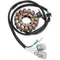 Kawasaki Stator by Rick's Motorsport Electric