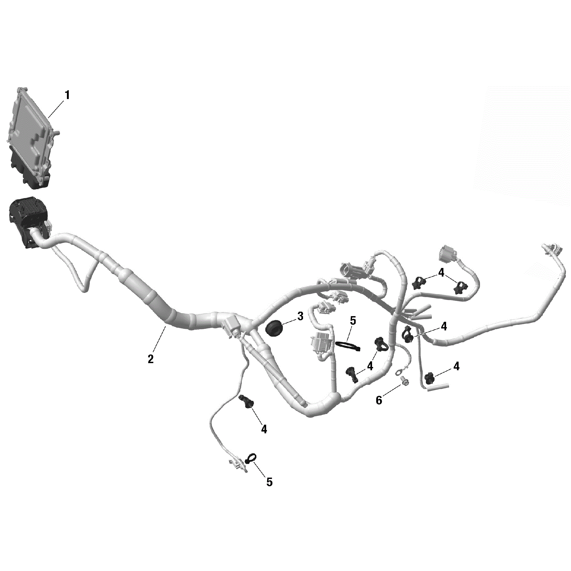 An Image of a Genuine Can-Am Parts Schematic Diagram showing the schematic - ROTAX - ENGINE HARNESS AND ELECTRONIC MODULE