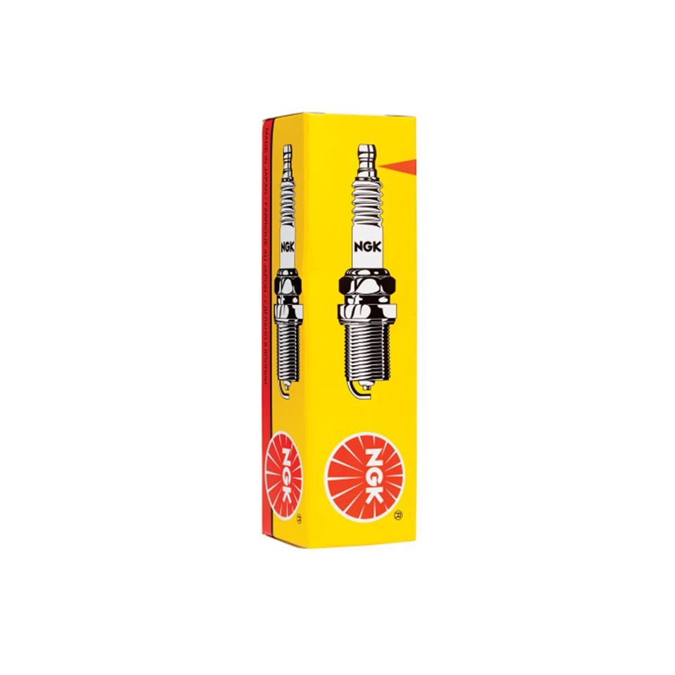 Spark Plug by Polaris