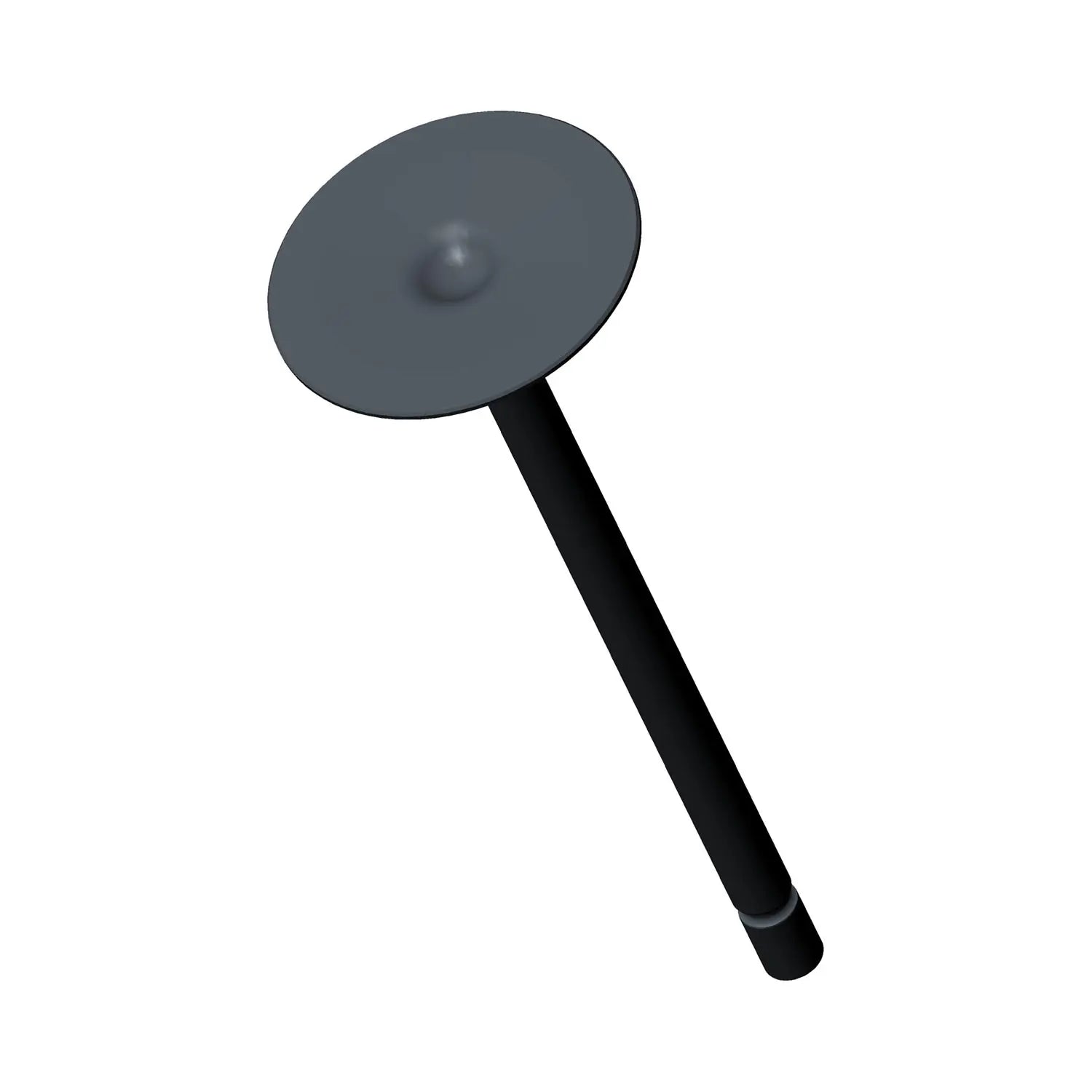 Black metal intake valve with a flat, circular head and long cylindrical stem.