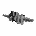 Crankshaft by Polaris