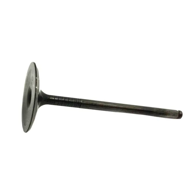 Dark metal intake valve with flat, rounded head and long slender stem.