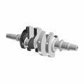 Crankshaft by Polaris