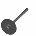 Intake Valve by Indian