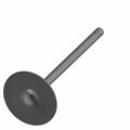 Intake Valve by Indian