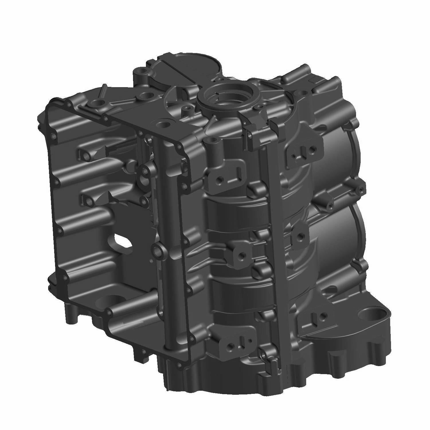 Black metal crankcase with complex molded structure and multiple mounting points.