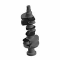 Crankshaft by Polaris