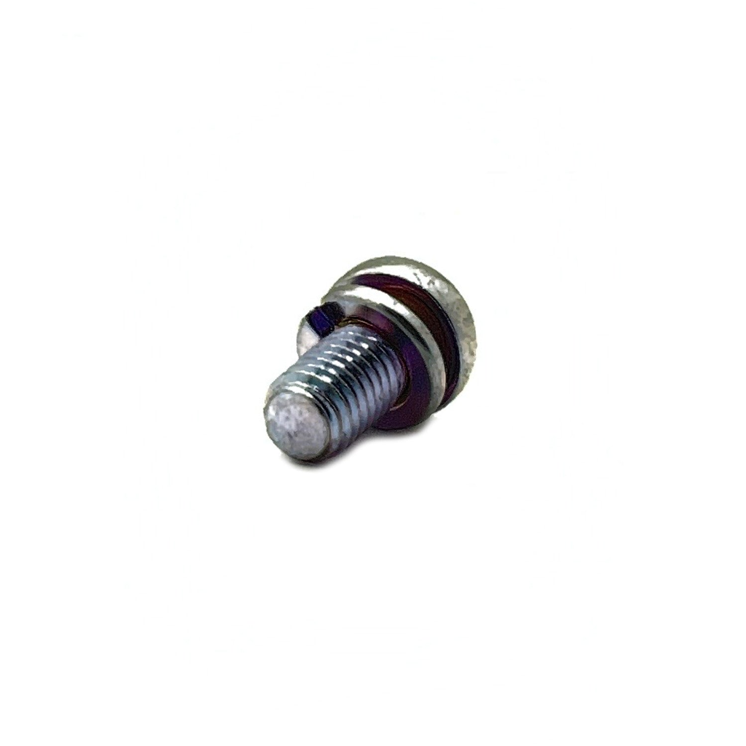 Screw and Washer by Polaris