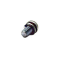 Screw and Washer by Polaris