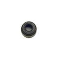 Intake Valve Seal by Polaris