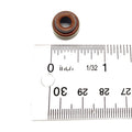 Exhaust Valve Seal by Polaris