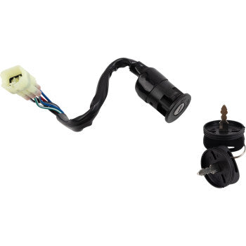 Black cylindrical ignition switch with attached multicolored wired connector and two metal keys.