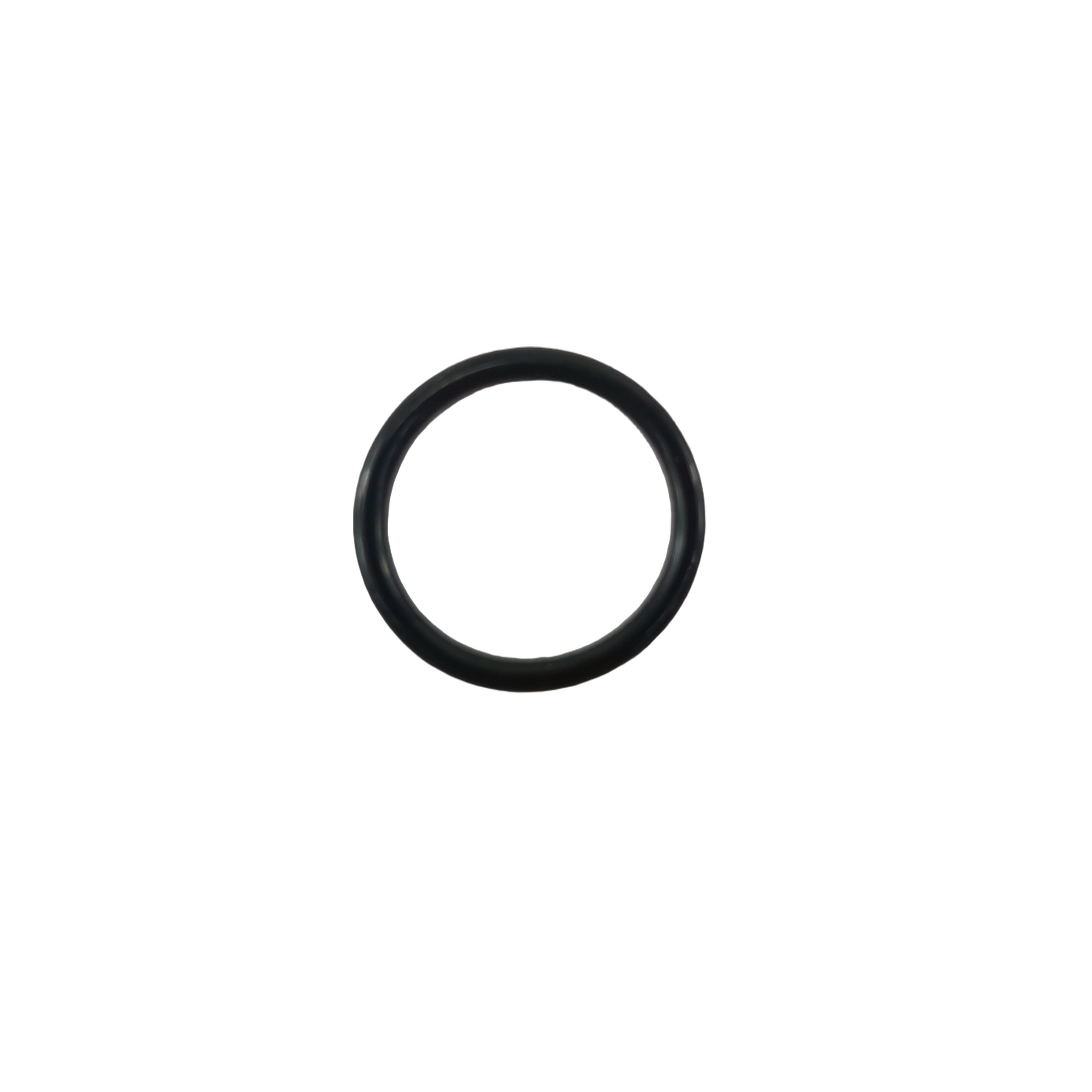 O-Ring 016 Viton by Polaris