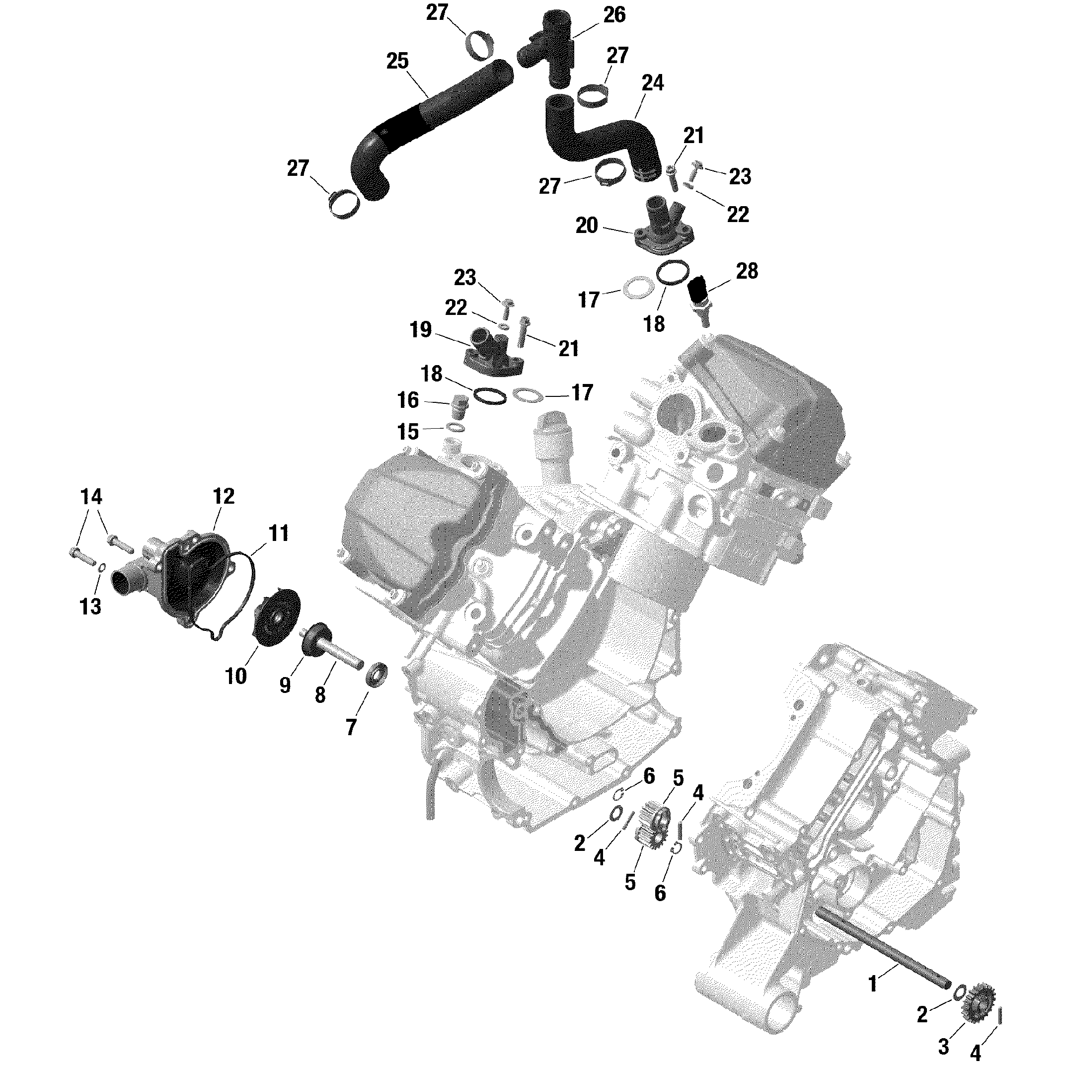 An Image of a Genuine Can-Am Parts Schematic Diagram showing the schematic - ROTAX - ENGINE COOLING