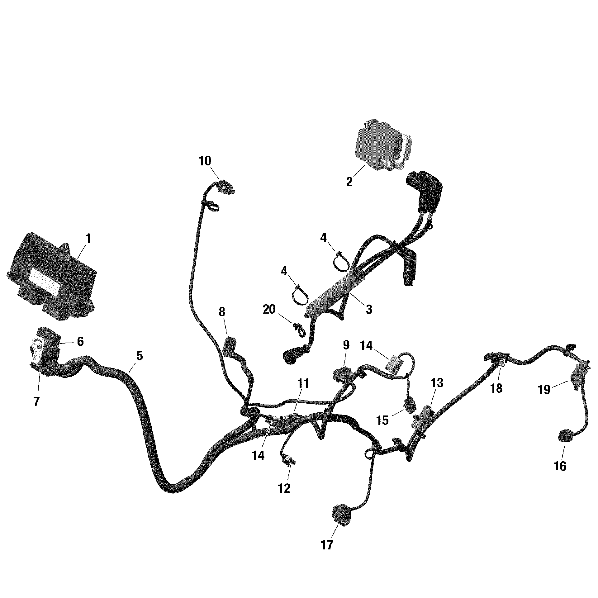 An Image of a Genuine Can-Am Parts Schematic Diagram showing the schematic - ROTAX - ENGINE HARNESS AND ELECTRONIC MODULE - LTD CAB