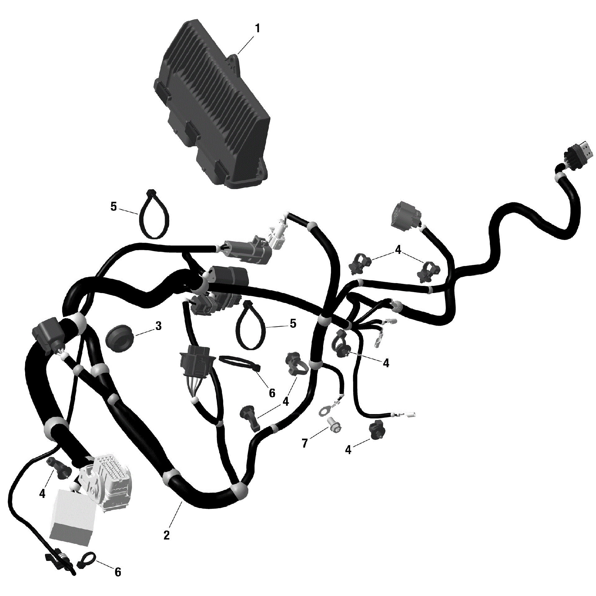 An Image of a Genuine Can-Am Parts Schematic Diagram showing the schematic - ROTAX - ENGINE HARNESS AND ELECTRONIC MODULE