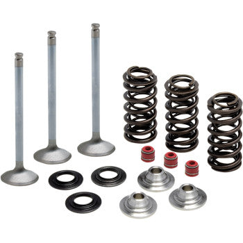 The Yamaha Valve and Spring Kit 0.380" Lift by Kibblewhite features stainless steel intake valves, coil springs, black washers, red seals, and metallic retainers—perfect for upgrades or use as a conversion kit.