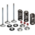 Yamaha Valve and Spring Kit 0.380" Lift by Kibblewhite