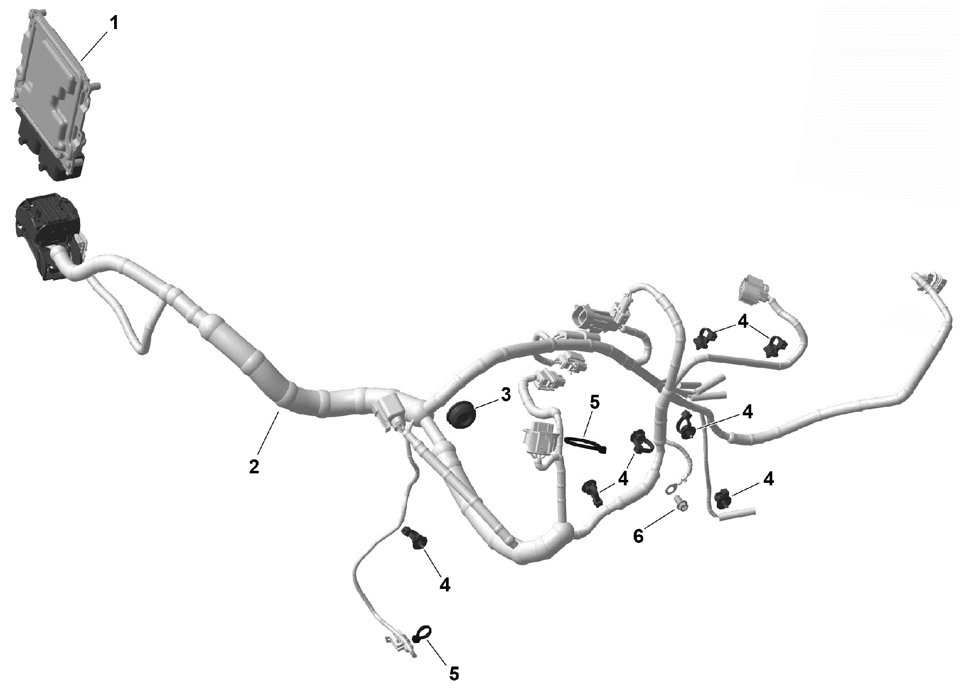 An Image of a Genuine Can-Am Parts Schematic Diagram showing the schematic - ROTAX - ENGINE HARNESS AND ELECTRONIC MODULE