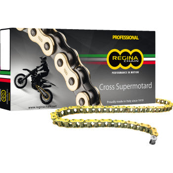 A Regina 520 RH2 Drive Chain 110 Links is shown in front of its packaging, which features a motocross rider image and the Regina logo with green, white, and red stripes.