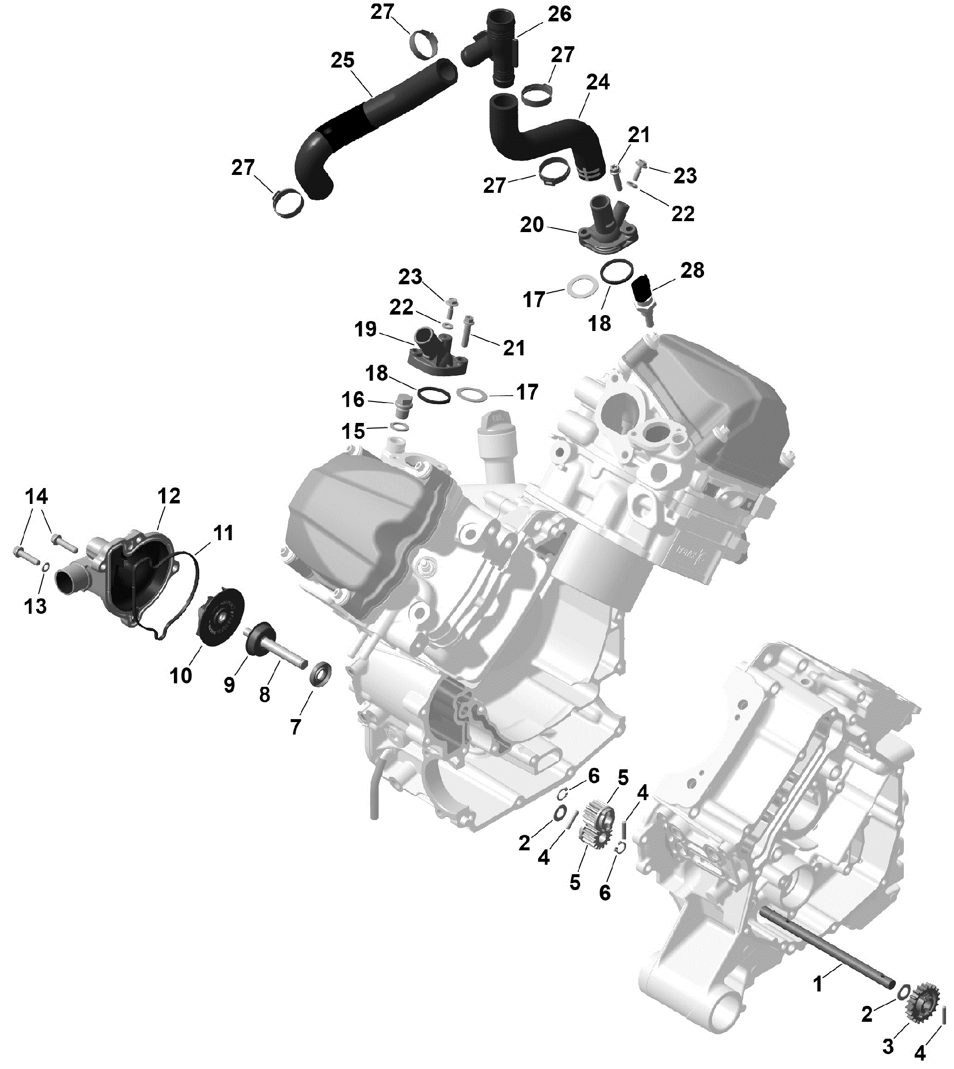 An Image of a Genuine Can-Am Parts Schematic Diagram showing the schematic - ROTAX - ENGINE COOLING