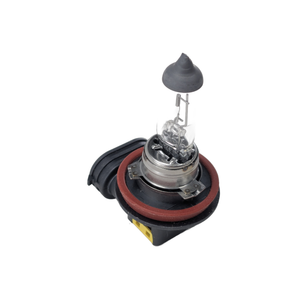 Clear H8 halogen bulb with black plastic base and red rubber gasket for motorcycle headlight replacement.