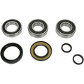 Honda TRX Wheel Bearing Kit Rear by Pivot Works
