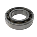 Metallic ball bearing with visible steel balls inside a circular outer and inner ring, polished silver finish.