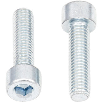 Two Allen Bolts Socket Head M8 x 30 by Bolt are shown: one lies horizontally, revealing the hex socket; the other stands upright, displaying the threaded body and cylindrical head. Comes in a 10 pack.