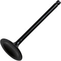 Polaris Intake Valve Steel by Hot Cams