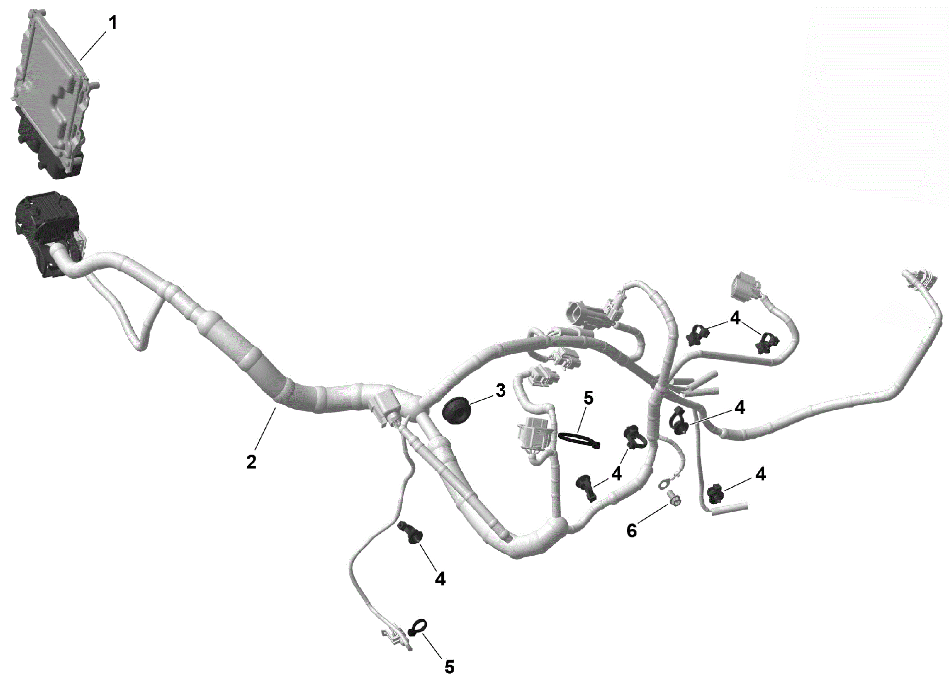 Can-Am Diagram | ROTAX - ENGINE HARNESS AND MODULE Witchdoctors