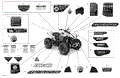 BODY - DECALS - 2021 CAN AM RENEGADE 850 EFI / X XC