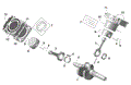 ROTAX - CRANKSHAFT PISTONS AND CYLINDER - 2025 CAN AM RENEGADE 650 4X4 X MR EFI - CATALYST GRAY