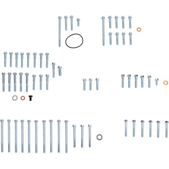 Honda TRX R Engine Fastener Kit by Bolt