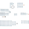 Honda TRX R Engine Fastener Kit by Bolt