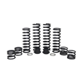 Polaris Xpedition Full Spring Kit (1 Seat) by ZBroz