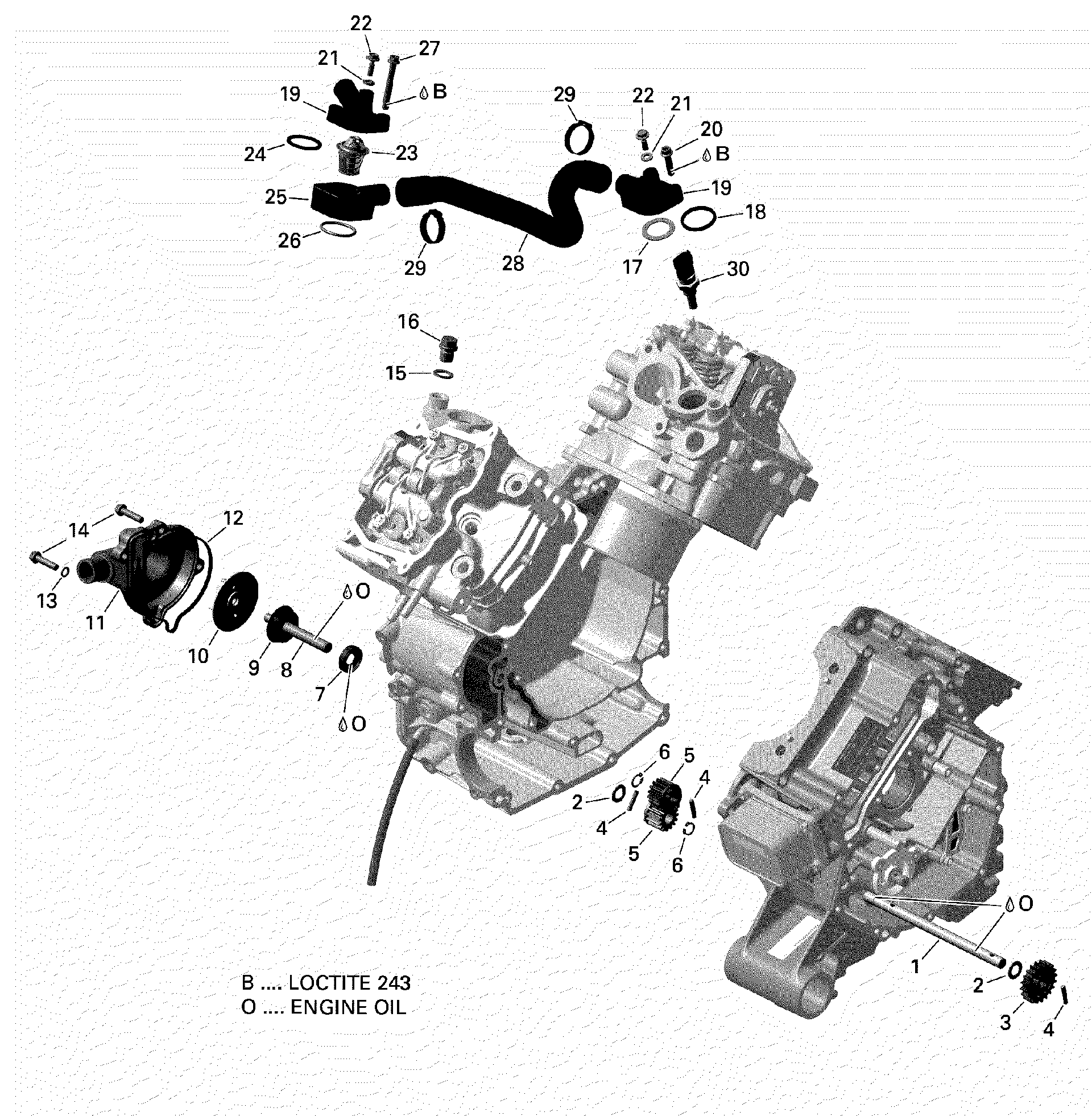 An Image of a Genuine Can-Am Parts Schematic Diagram showing the schematic - ROTAX - ENGINE COOLING