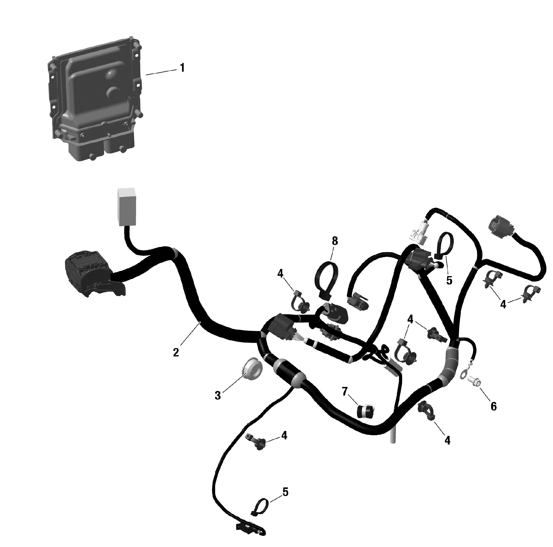 An Image of a Genuine Can-Am Parts Schematic Diagram showing the schematic - ROTAX - ENGINE HARNESS AND ELECTRONIC MODULE