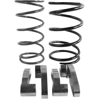 Two black coil springs with shiny metal finish and four curved metal clutch components arranged below them.