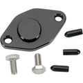 Yamaha Crank Case Block Off Plate by Wsm