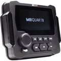Radio Gauge Mount 160 with by Mb Quart