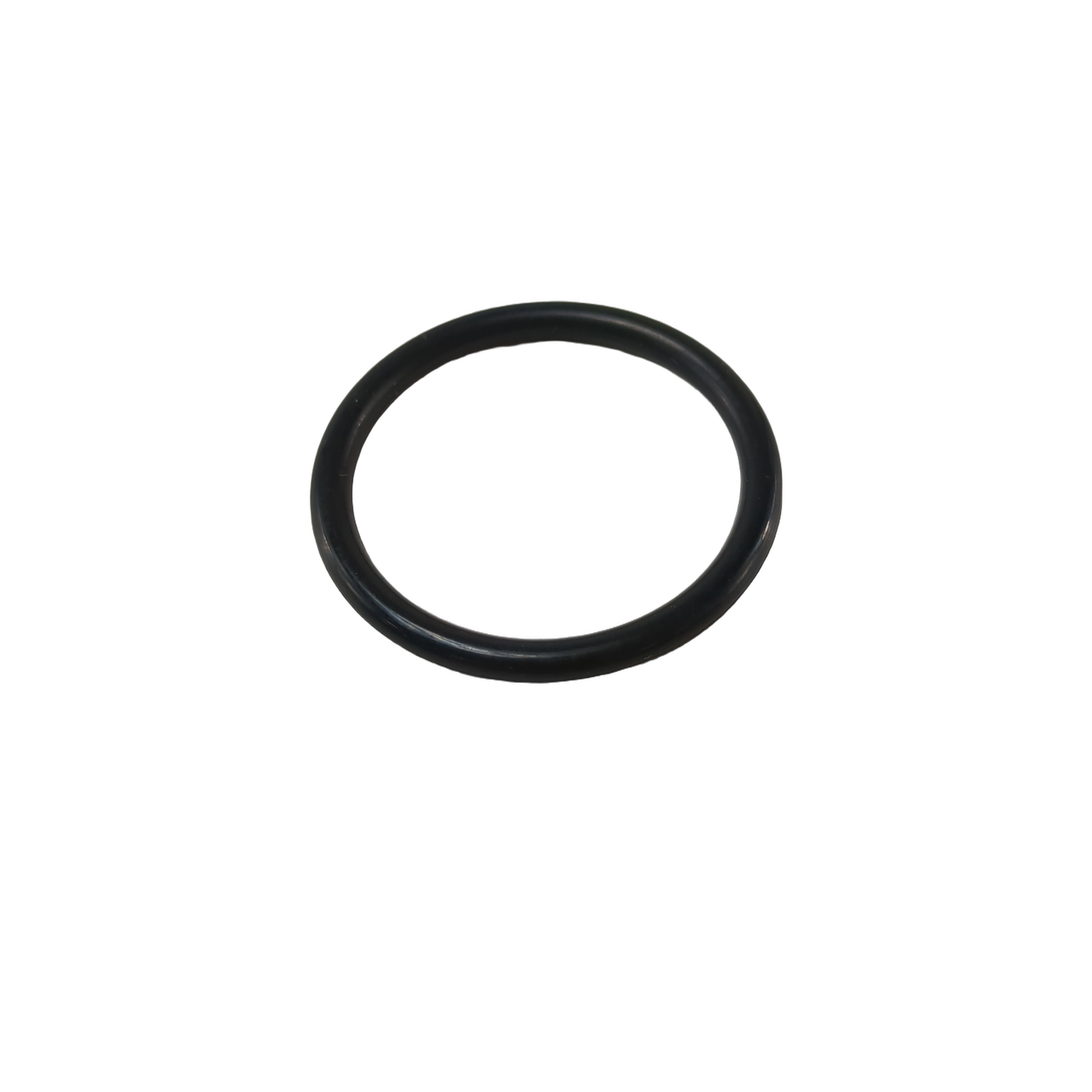 O-Ring by Polaris