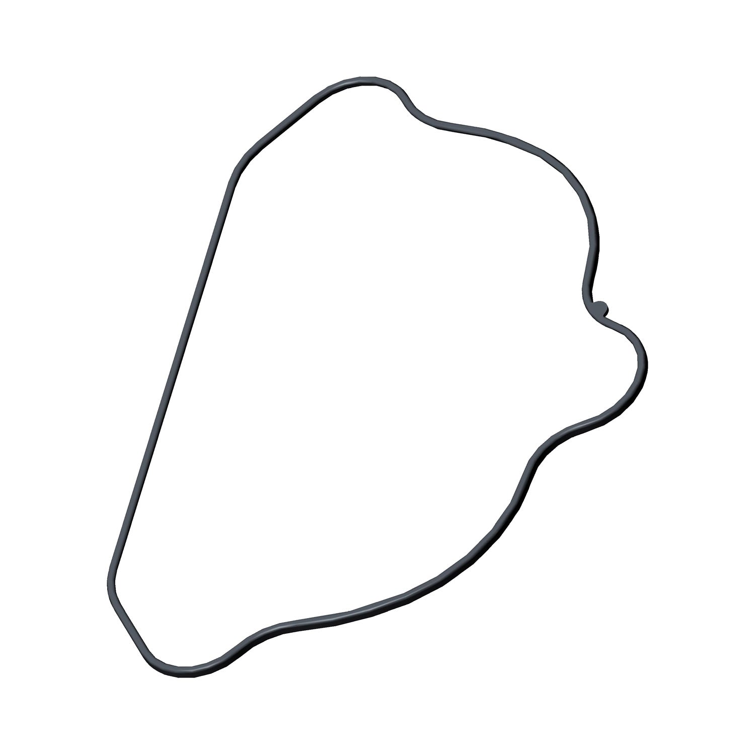 Black rubber valve cover seal gasket with irregular rounded shape and smooth edges.