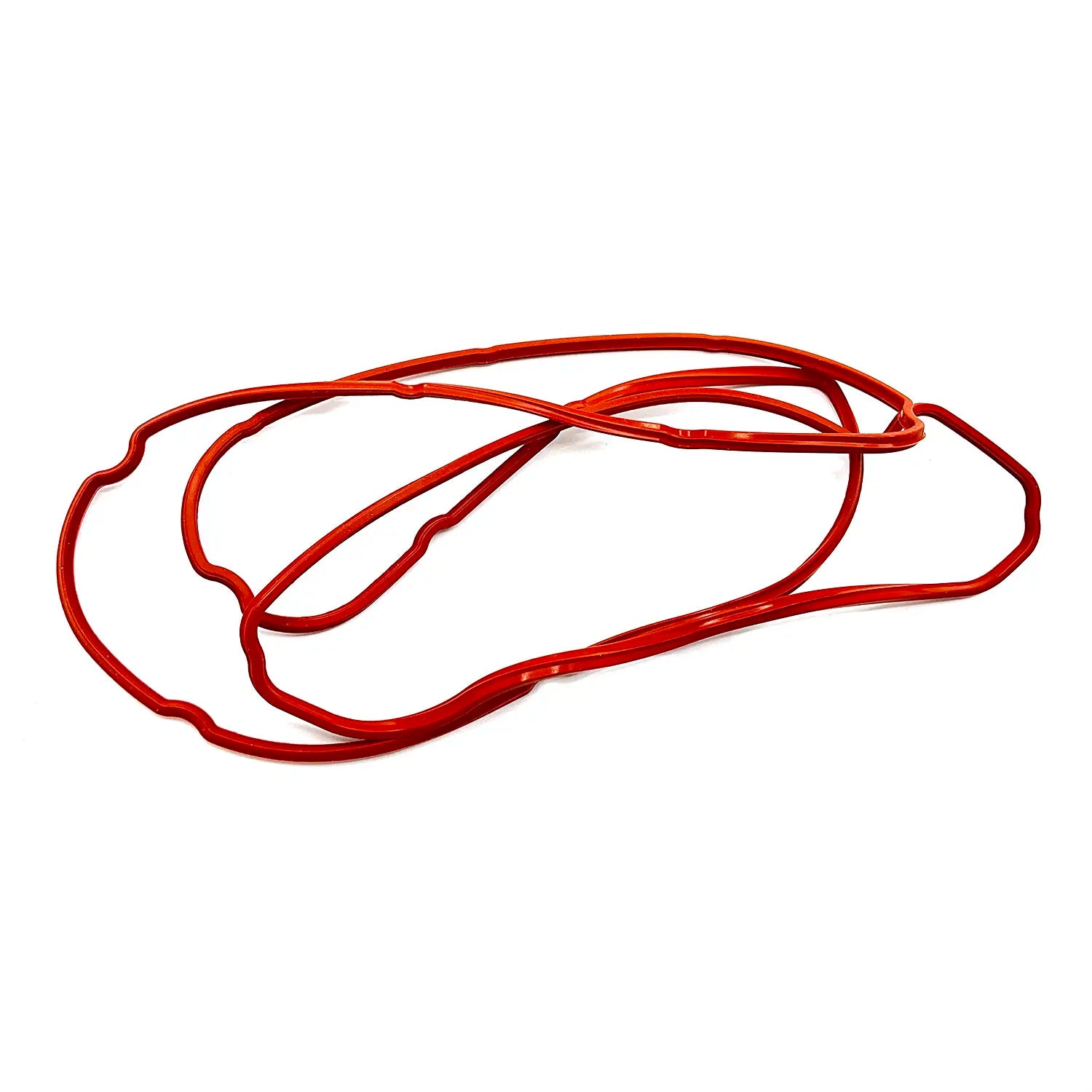 Stator Cover Gasket by Polaris Witchdoctors