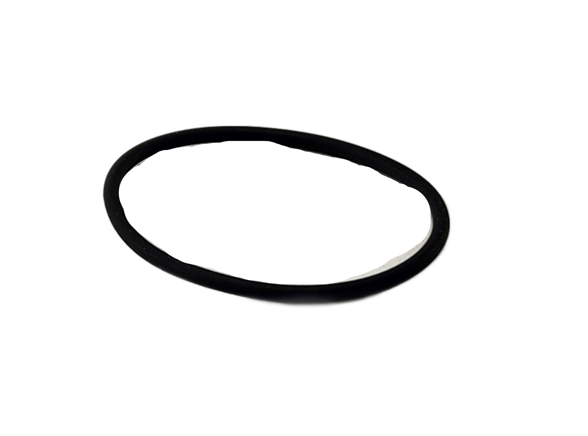 Waterpump O-Ring by Polaris