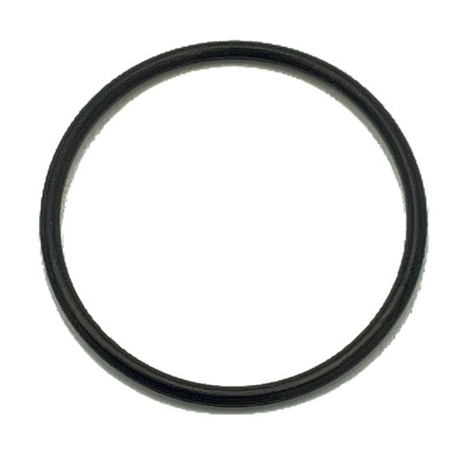 O-Ring-1.0 x 17.5 mm by Polaris