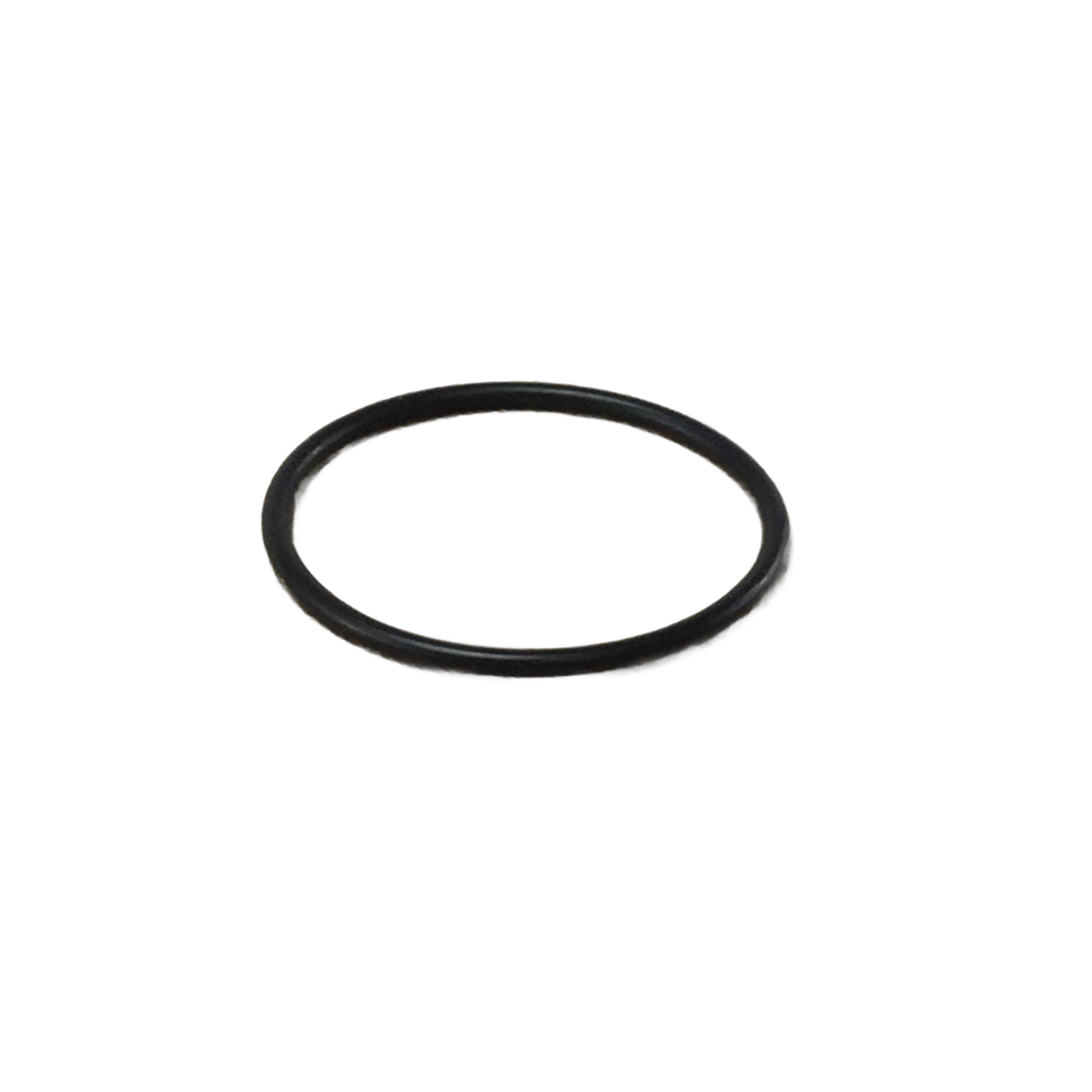 A single O-Ring by Polaris, black and made of rubber, designed as an OEM Indian Polaris part, lies flat on a plain white background.