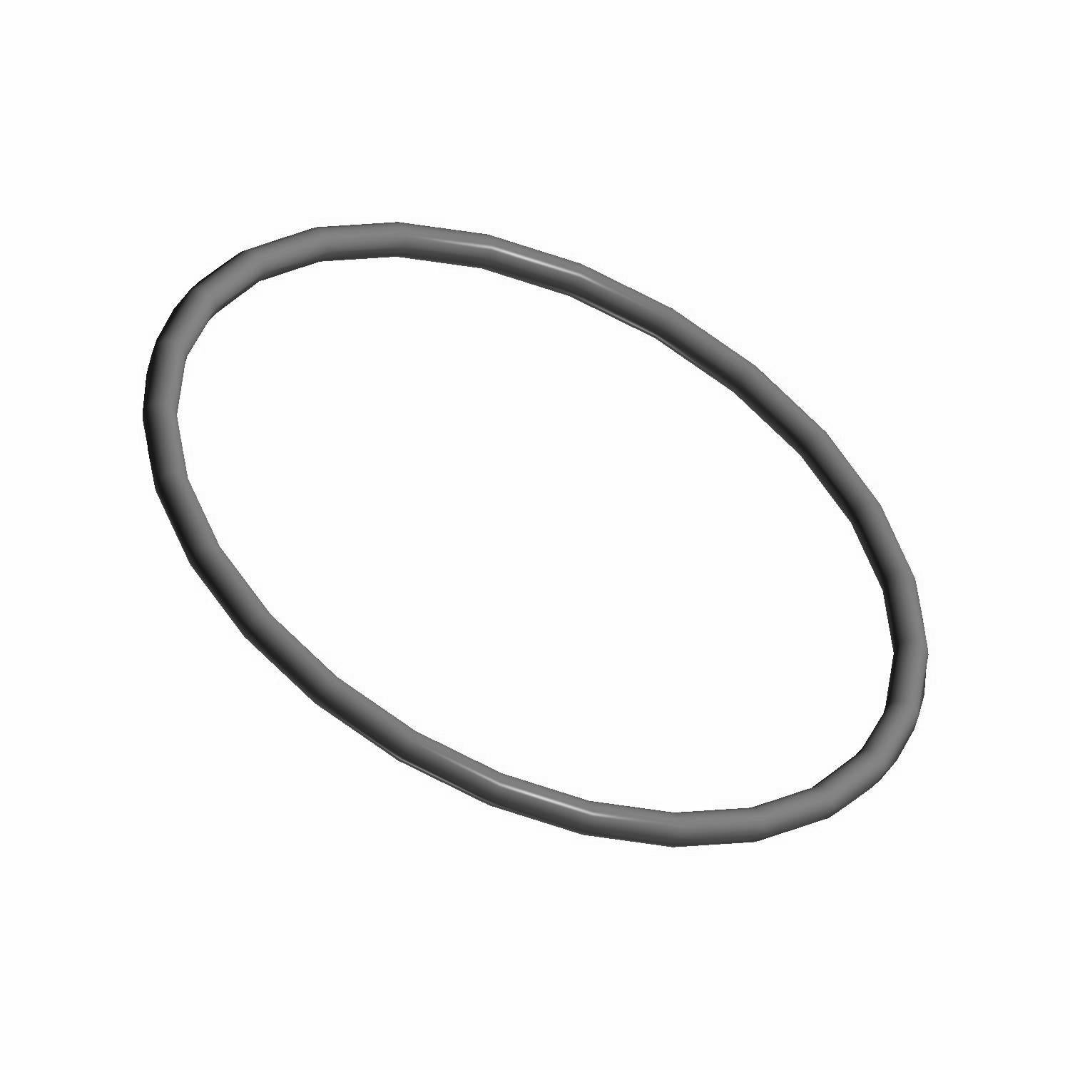 Fuel Pump O-Ring by Polaris