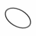 Fuel Pump O-Ring by Polaris